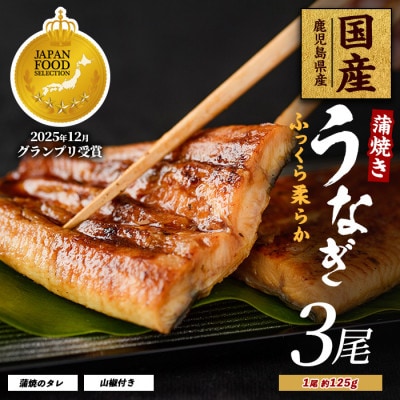 鹿児島県産うなぎ蒲焼じっくり焼き約125g×3尾 016-1900