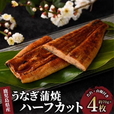 【鹿児島県産】うなぎ蒲焼じっくり焼きハーフカット約70g×4枚 化粧箱入り(017-1901)