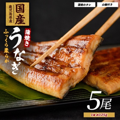 【鹿児島県産】うなぎ蒲焼じっくり焼き約125g×5尾 化粧箱入り(026-1903)