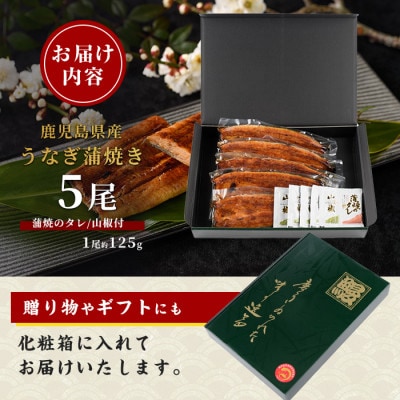 【鹿児島県産】うなぎ蒲焼じっくり焼き約125g×5尾 化粧箱入り(026-1903)