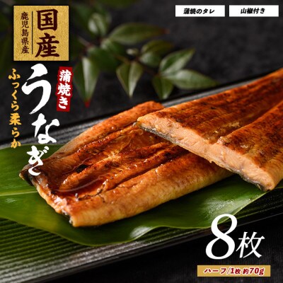 12/21入金分まで年内発送!鹿児島県産うなぎ蒲焼じっくり焼きハーフ約70g×8枚 031-1904