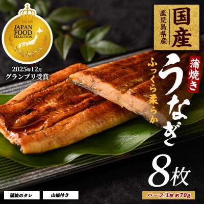 鹿児島県産うなぎ蒲焼じっくり焼きハーフ約70g×8枚 031-1904