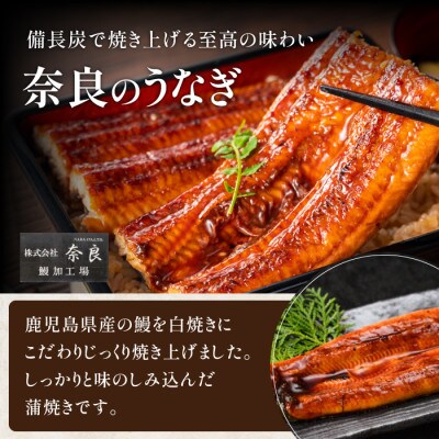 【丑の日】鹿児島県産うなぎ蒲焼 無頭背開き2尾(012-1667u)