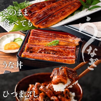 【丑の日】鹿児島県産うなぎ蒲焼 無頭背開き2尾(012-1667u)