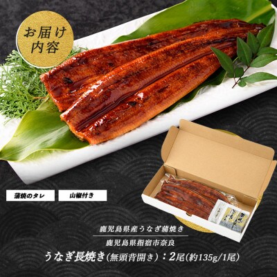 【丑の日】鹿児島県産うなぎ蒲焼 無頭背開き2尾(012-1667u)