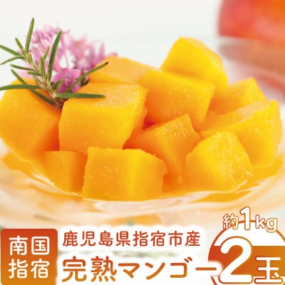 【2025年発送】鹿児島県指宿市産 完熟マンゴー 2玉(約1kg)(022-1781)