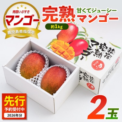 【2026年発送】鹿児島県指宿市産 完熟マンゴー 2玉(約1kg)(022-1781)