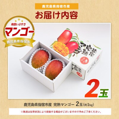 【2026年発送】鹿児島県指宿市産 完熟マンゴー 2玉(約1kg)(022-1781)