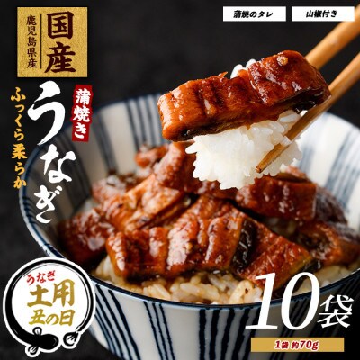 【丑の日】【鹿児島県産】うなぎ蒲焼じっくり焼き きざみ約70g×10袋(022-1902u)