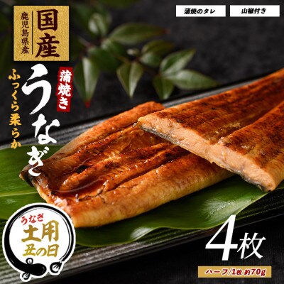 【丑の日】【鹿児島県産】うなぎ蒲焼じっくり焼きハーフカット約70g×4枚 (017-1901u)