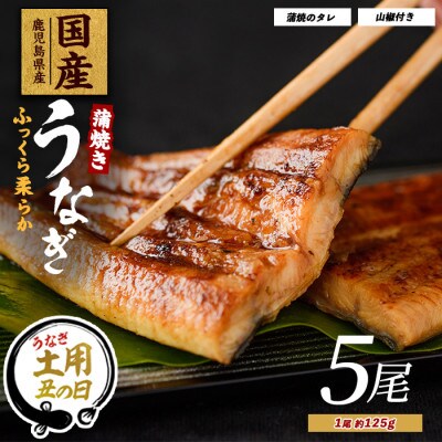 【丑の日】【鹿児島県産】うなぎ蒲焼じっくり焼き約125g×5尾 化粧箱入り(026-1903u)