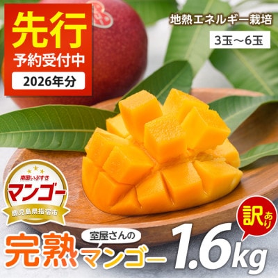 【2026年発送 先行予約】訳あり 室屋さんの完熟マンゴー約1.6kg 3～6玉(017-1760)