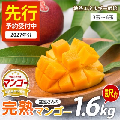 2027年発送 先行予約 訳あり 室屋さんの完熟マンゴー約1.6kg 3～6玉(IB016-002)