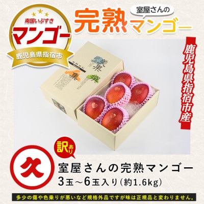 【2026年発送 先行予約】訳あり 室屋さんの完熟マンゴー約1.6kg 3～6玉(017-1760)