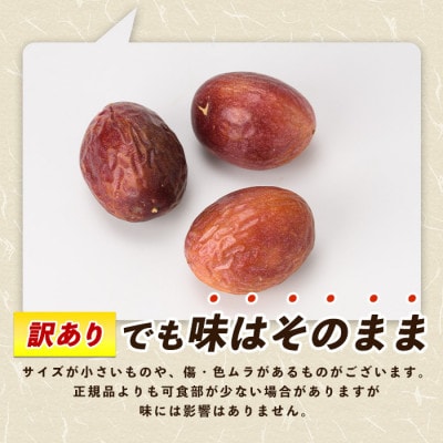 【2026年 発送】【訳あり】パッションフルーツ 18～20玉(010-1665)