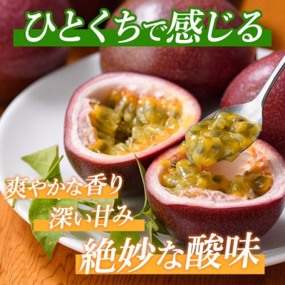 【2026年 発送】【訳あり】パッションフルーツ 18～20玉(010-1665)