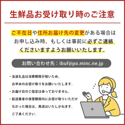 【2026年 発送】【訳あり】パッションフルーツ 18～20玉(010-1665)