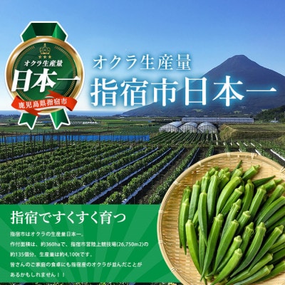 栽培期間中、農薬の使用を抑えた指宿産オクラ160本(8本入×20袋)(010-2006)