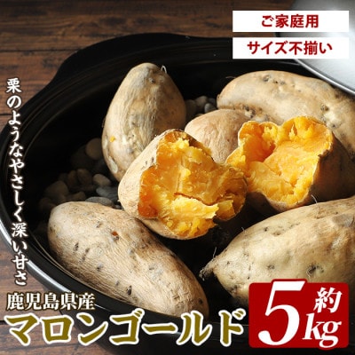 鹿児島県産マロンゴールド約5kg(010-1785)
