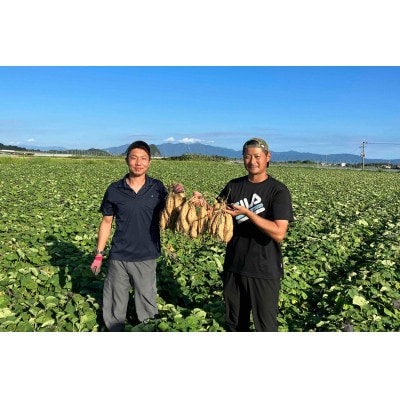鹿児島県産マロンゴールド約5kg(010-1785)