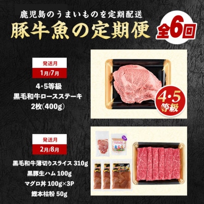 【全6回定期便】4・5等級黒毛和牛・黒豚・鮪丼・鰹丼・カツオのたたき・すり身(Z075-1983)