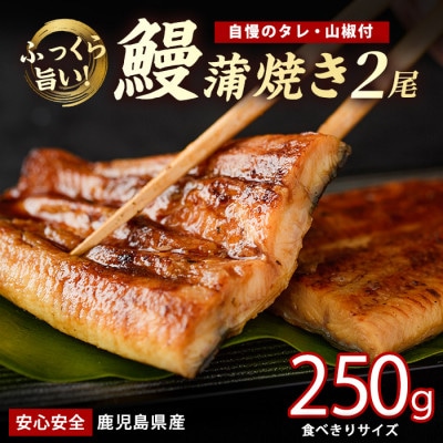 【鹿児島県産】うなぎ蒲焼じっくり焼き約125g×2尾 化粧箱入り(012-2001)