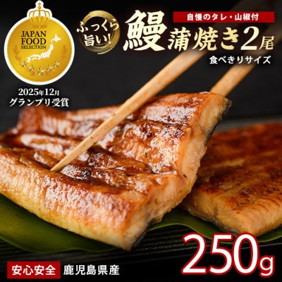 鹿児島県産うなぎ蒲焼じっくり焼き約125g×2尾 012-2001