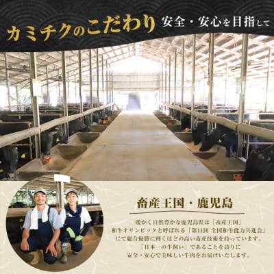 【全4回】生の贅沢～ カミチク自慢の生食定期便 Z-085