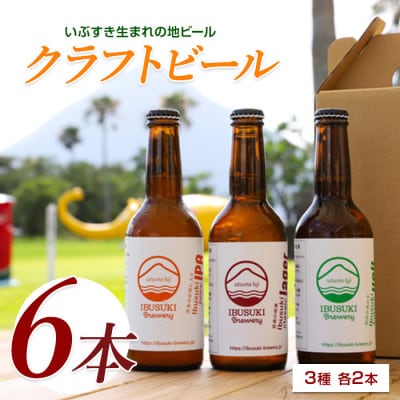クラフトビール 3種 各2本 (018-2025)