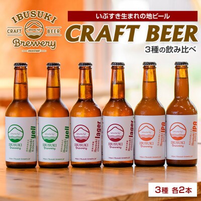 クラフトビール 3種 各2本 (018-2025)