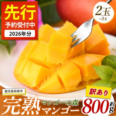 【2026年7月上旬頃より順次発送】【訳あり】しあわせ完熟マンゴー 約800g(016-2055)