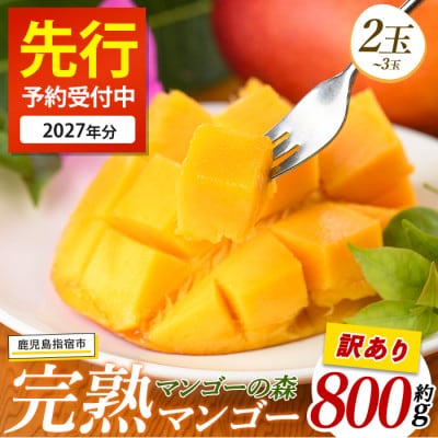 【2027年 発送】【訳あり】しあわせ完熟マンゴー 約800g(IB040-015)