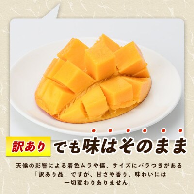 【2026年7月上旬頃より順次発送】【訳あり】しあわせ完熟マンゴー 約800g(016-2055)