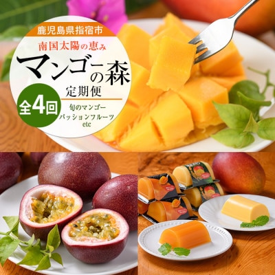 【全4回定期便】完熟マンゴー&トロピカルスイーツ定期便 (Z050-2053)