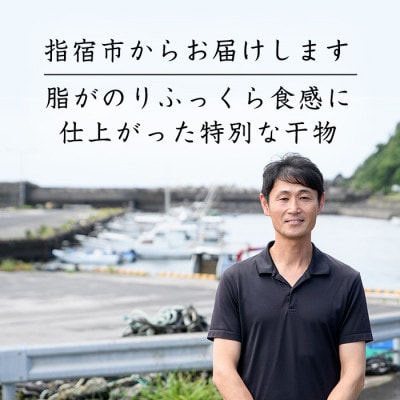 【訳あり・家庭用】薩摩の灰干し 鯖 1.2kg(010-1996)
