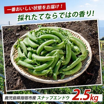 スナップエンドウ約2.5kg (010-2087)