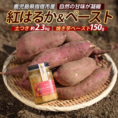 紅はるか約2.3kg・おとなの焼き芋ペースト1瓶セット (010-2077)