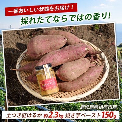 紅はるか約2.3kg・おとなの焼き芋ペースト1瓶セット (010-2077)