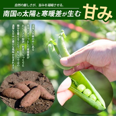 紅はるか約2.3kg・おとなの焼き芋ペースト1瓶セット (010-2077)