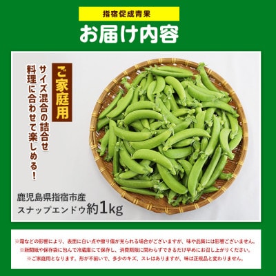 【産地直送!新鮮旬野菜!】ご家庭用スナップエンドウ約1kg(IB092-001)