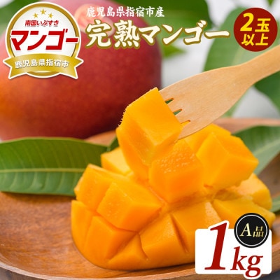 【2026年5月下旬頃より順次発送】鹿児島県指宿産 完熟マンゴー 約1kg (IB163-001)