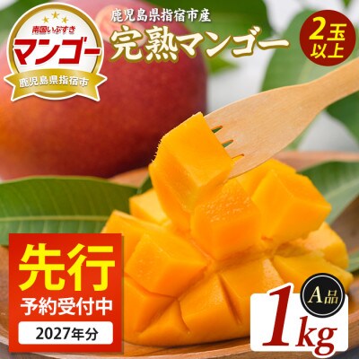 【2027年5月下旬頃より順次発送】鹿児島県指宿産 完熟マンゴー 約1kg (IB163-001)