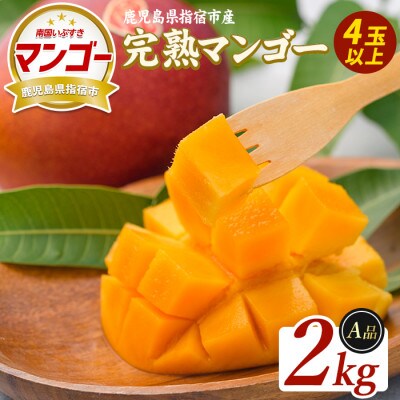【2026年5月下旬頃より順次発発送】鹿児島県指宿産 完熟マンゴー 約2kg (IB163-002)