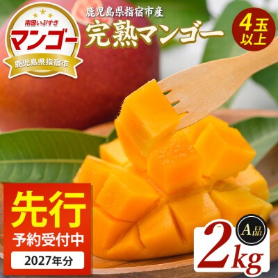 【2027年5月下旬頃より順次発発送】鹿児島県指宿産 完熟マンゴー 約2kg (IB163-002)