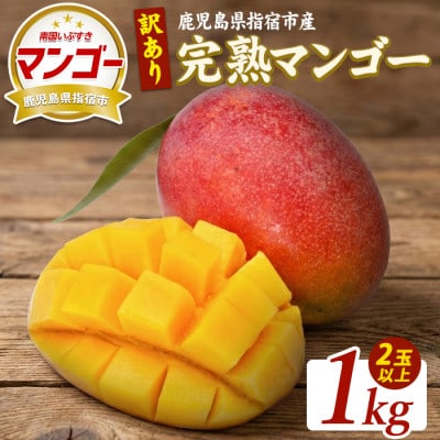 【2026年5月下旬頃より順次発送】訳あり 鹿児島県指宿産 完熟マンゴー約1kg IB163-003