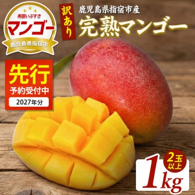 【2027年発送】【訳あり】鹿児島県指宿産 完熟マンゴー約1kg (IB163-003)