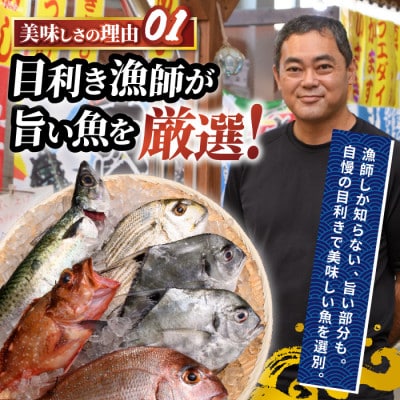 【指宿直送便】マグロ漬け丼と天然鯛・地魚茶漬けセット計21P (IB035-007)