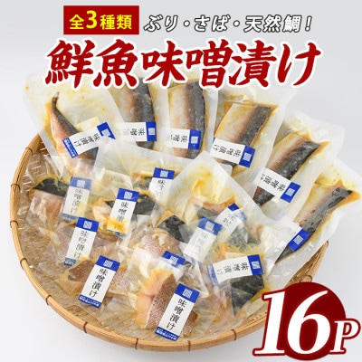 漁師がつくる味噌漬け16Pセット (IB035-019)