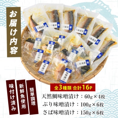 漁師がつくる味噌漬け16Pセット (IB035-019)