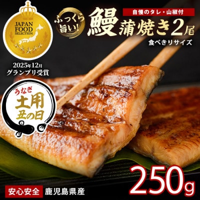 【丑の日】【鹿児島県産】うなぎ蒲焼じっくり焼き約125g×2尾 化粧箱入り(IB021-011u)